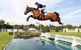 Show Jumping Psychology